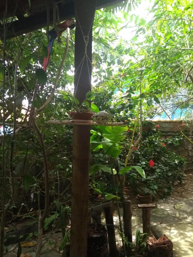 Pousada Recanto Devas 卡波布里奥 外观 照片