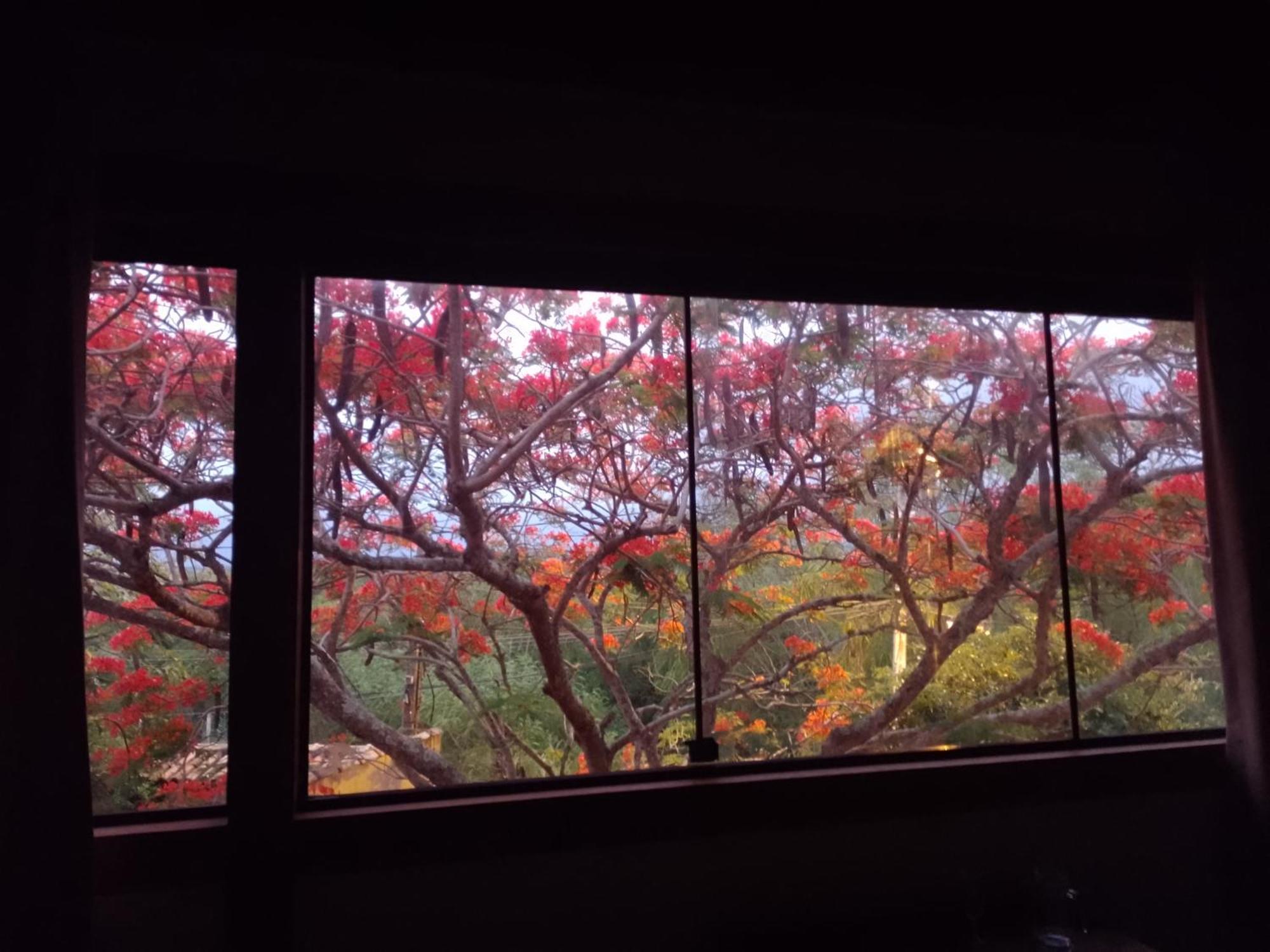 Pousada Recanto Devas 卡波布里奥 外观 照片